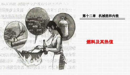 燃料的热值PPT课件