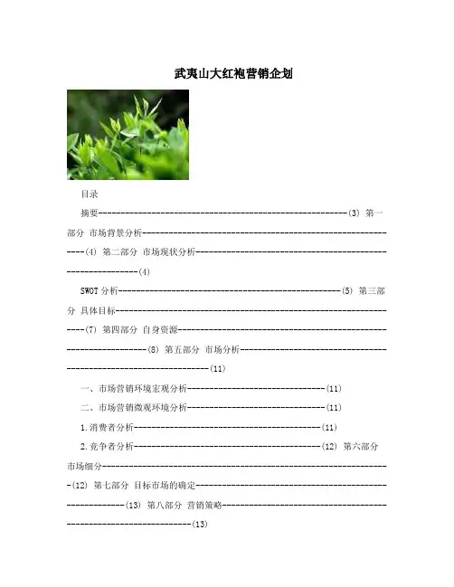武夷山大红袍营销企划