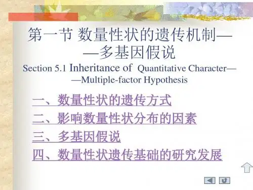 数量性状的遗传机制多基因假说
