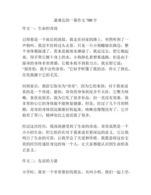 最难忘的一幕作文700字