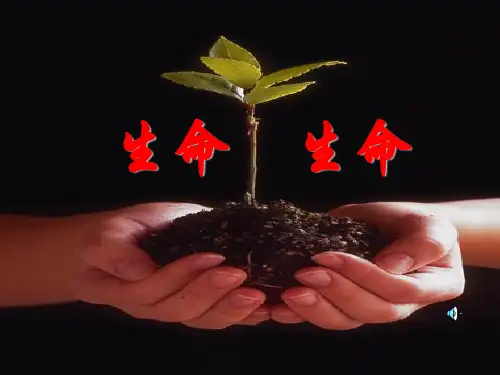 人教版部编版四年级下册语文 《生命生命》PPT课件