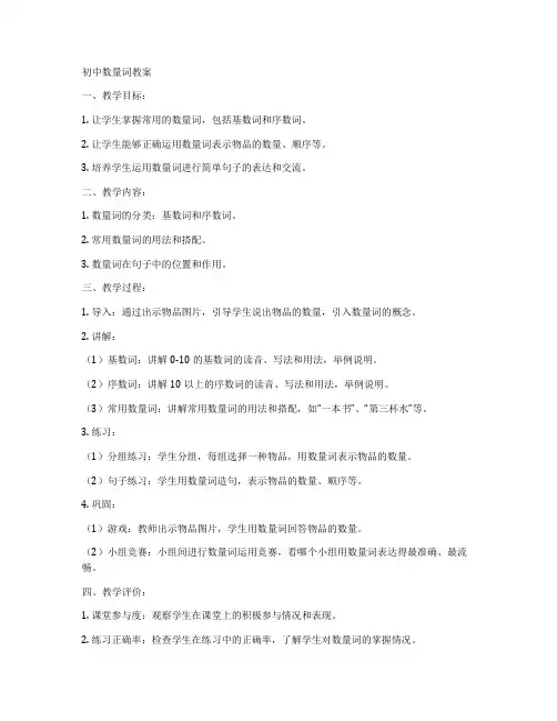 初中数量词教案