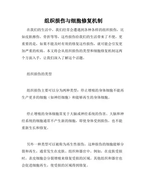 组织损伤与细胞修复机制
