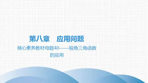 最新人教版中考数学总复习核心素养教材母题40——锐角三角函数的应用