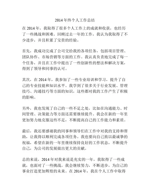 2014年终个人工作总结