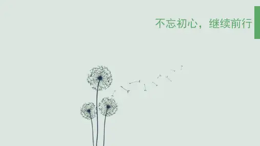 考研经验ppt