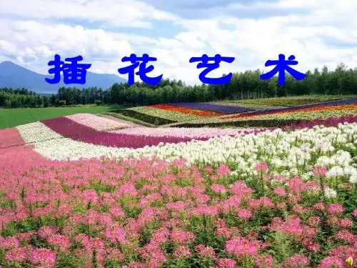 初中综合实践活动《插花艺术》课件