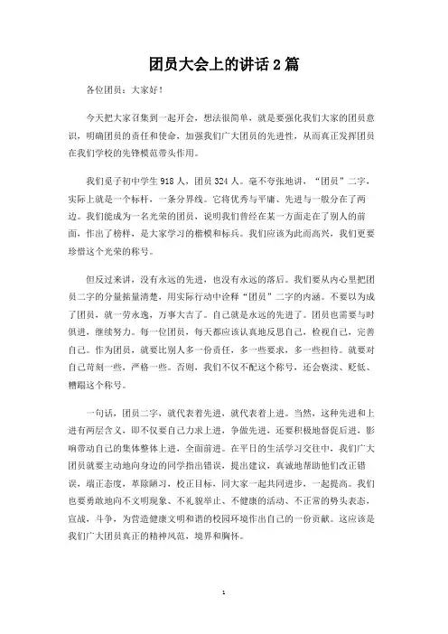 团员大会上的讲话2篇