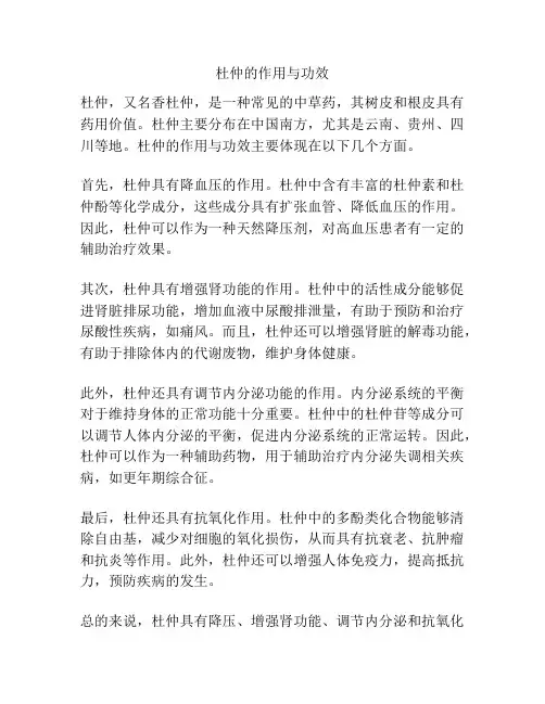 杜仲的作用与功效