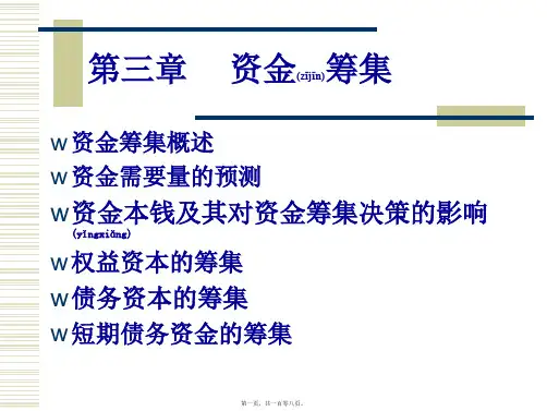 财务管理第三章资金筹集(PPT)