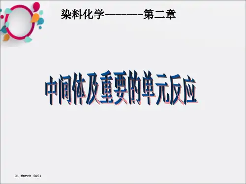 《染料的分类》PPT课件