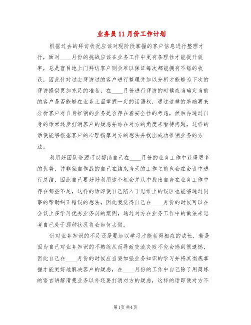 业务员11月份工作计划(2篇)