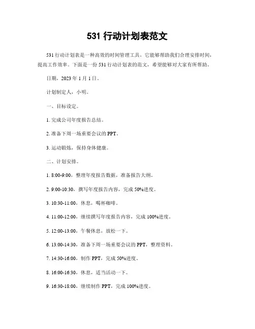 531行动计划表范文