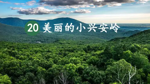 三年级语文上册《美丽的小兴安岭》PPT课件