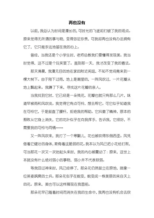 初二作文：再也没有作文600字初中