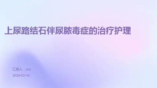 上尿路结石伴尿脓毒症的治疗护理PPT课件