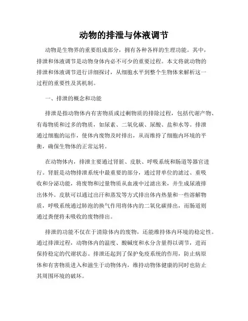 动物的排泄与体液调节