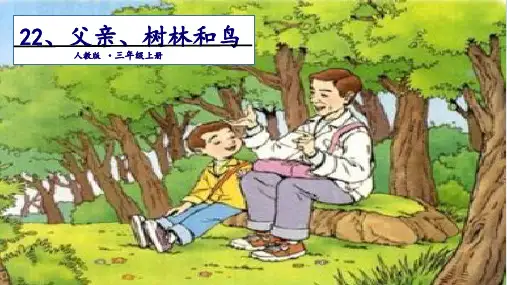 《父亲、树林和鸟》课件完美版(共18张PPT)