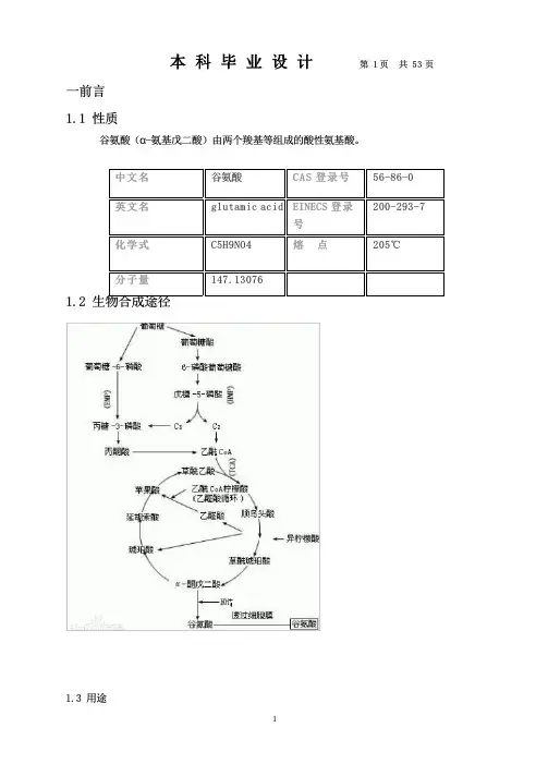 三万吨谷氨酸工厂设计(53页)_2