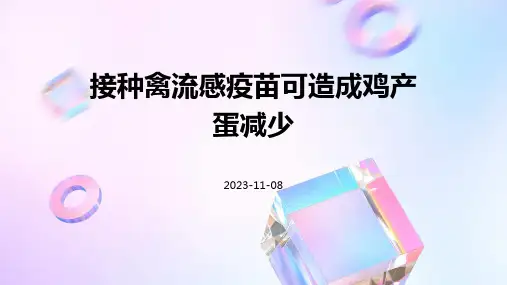 接种禽流感疫苗可造成鸡产蛋减少