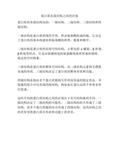 蛋白质各级结构之间的区别
