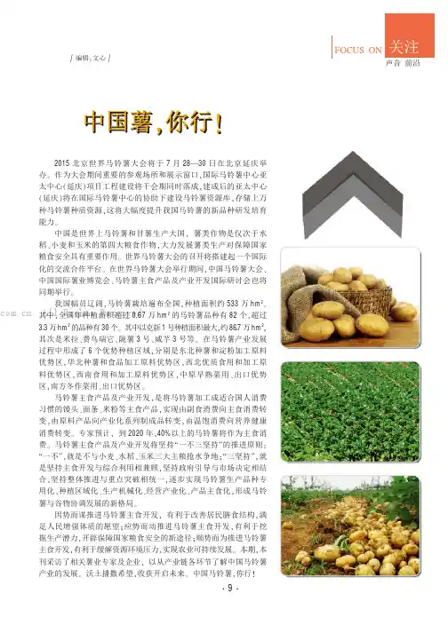 中国薯，你行！