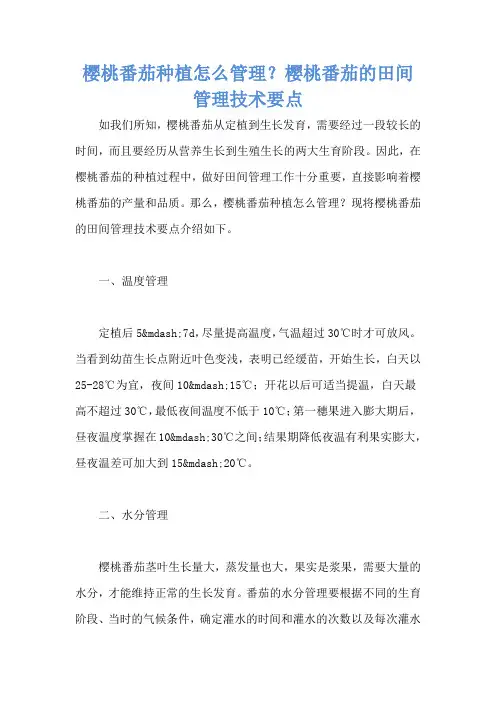 樱桃番茄种植怎么管理？樱桃番茄的田间管理技术要点