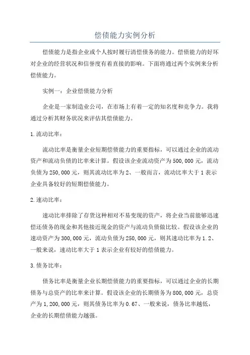 偿债能力实例分析