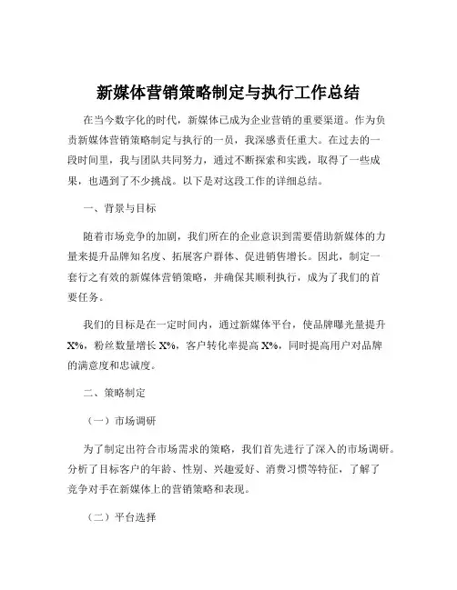 新媒体营销策略制定与执行工作总结