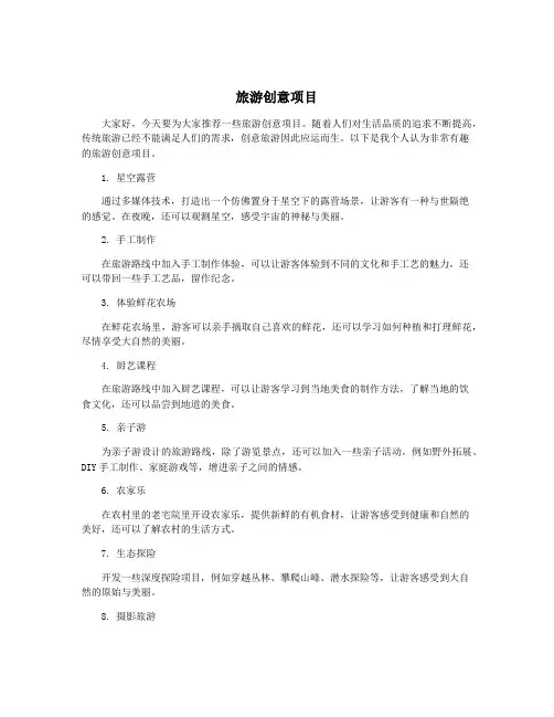 旅游创意项目