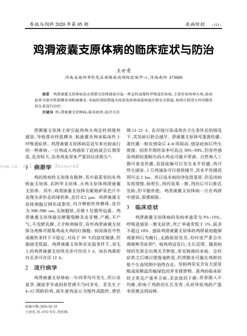 鸡滑液囊支原体病的临床症状与防治