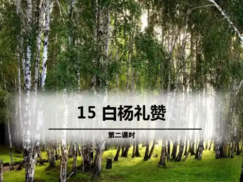 白杨礼赞 (第二课时)教学课件
