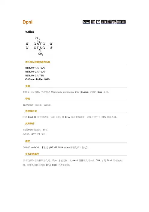 NEB常用酶介绍