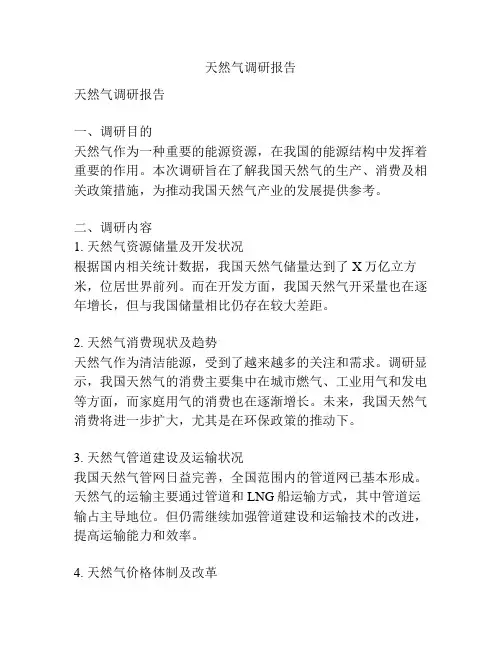 天然气调研报告