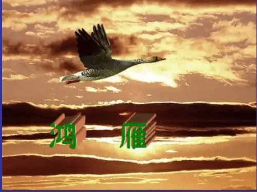 在那遥远的地方