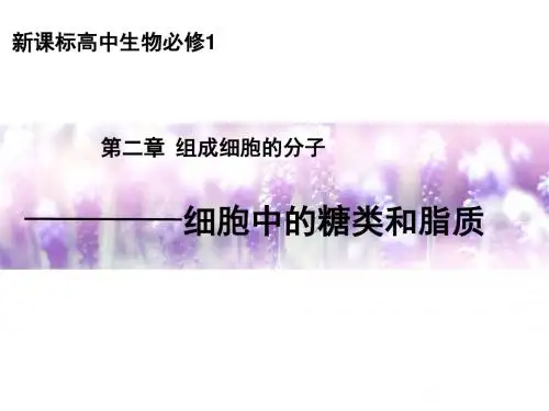 高中生物《细胞中的糖类和脂质》说课稿课件