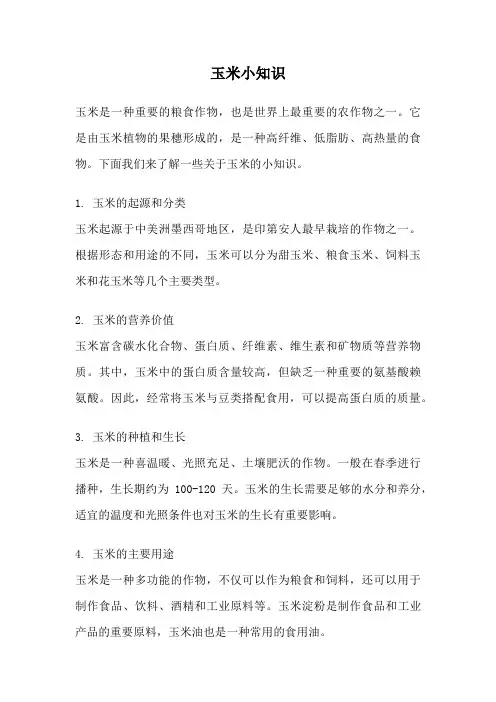玉米小知识