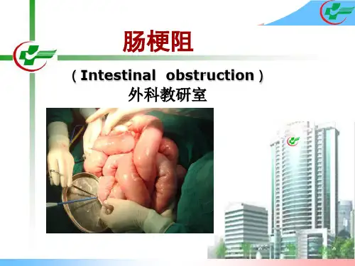 肠梗阻外科治疗PPT课件