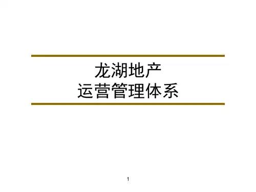 龙湖运营管理体系