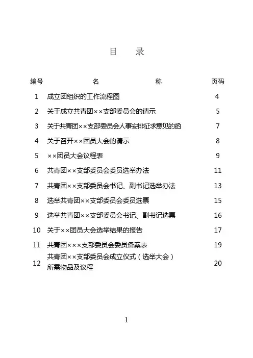 团支部委员会成立程序