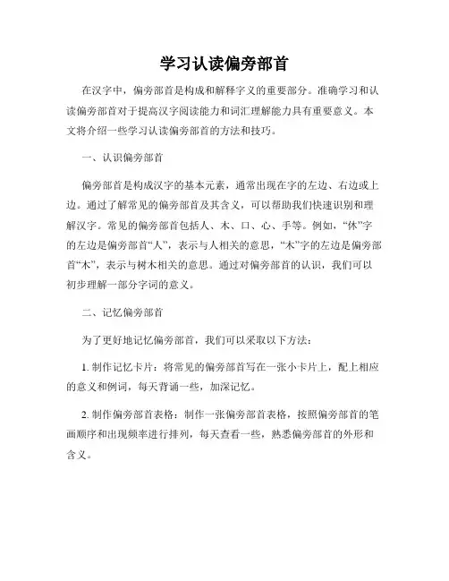 学习认读偏旁部首