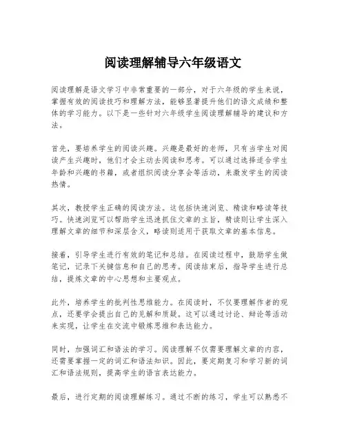 阅读理解辅导六年级语文