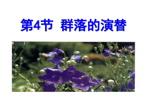 生物必修三第4章第4节 群落的演替 课件 共38张