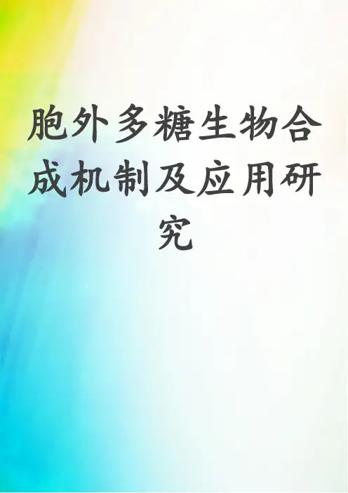 胞外多糖生物合成机制及应用研究