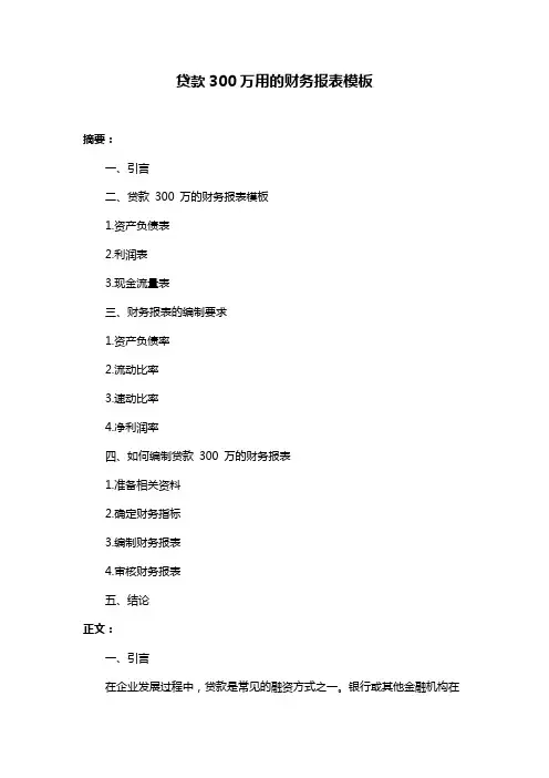 贷款300万用的财务报表模板
