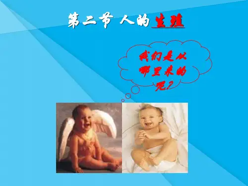 人的生殖ppt2 人教版优秀课件