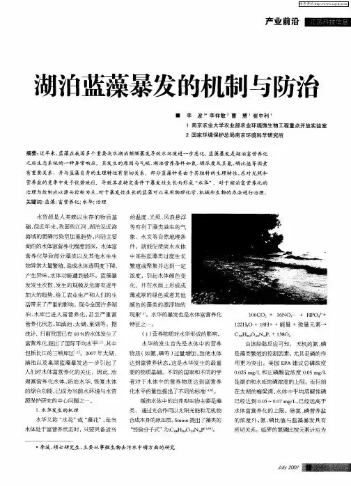 湖泊蓝藻暴发的机制与防治