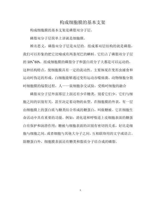 构成细胞膜的基本支架