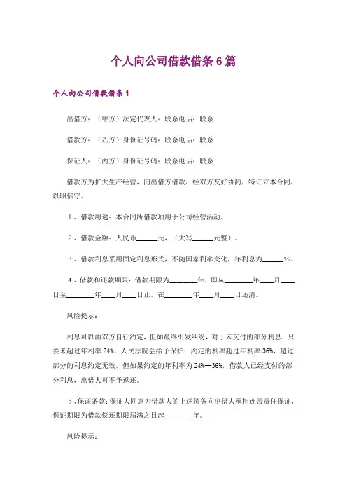 个人向公司借款借条6篇