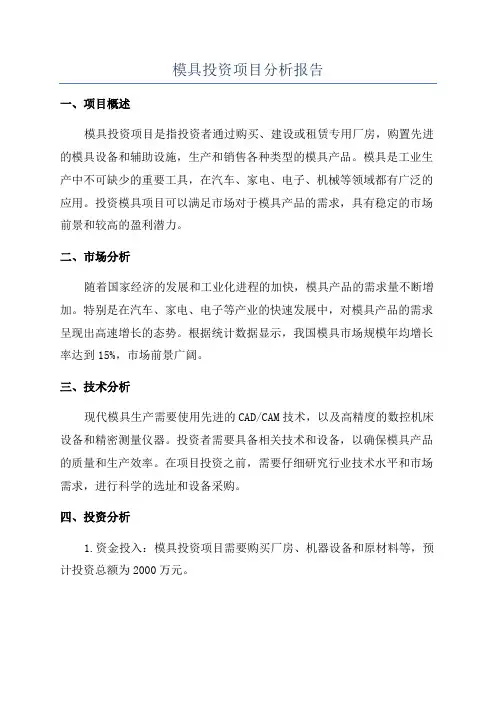 模具投资项目分析报告